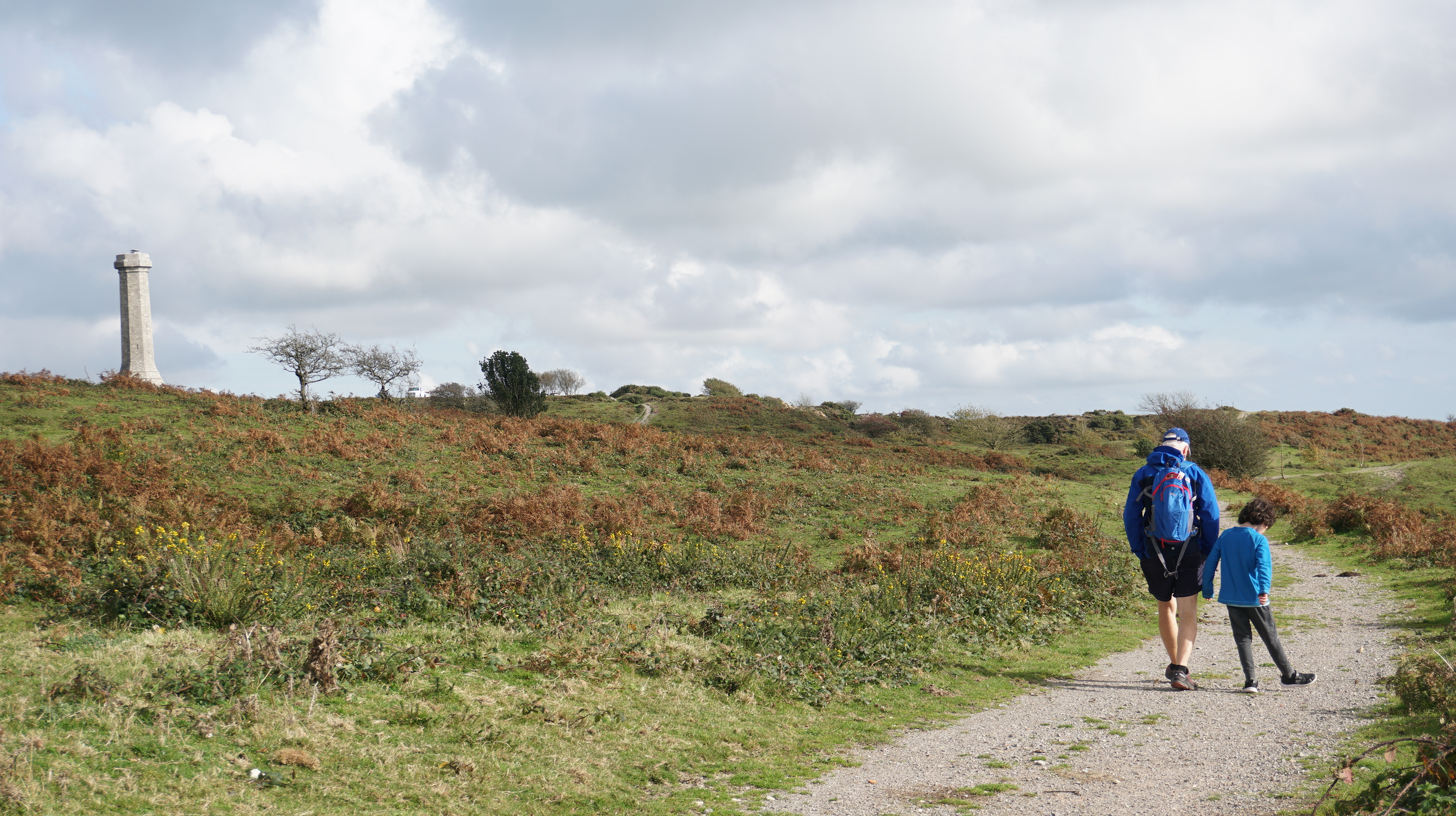 walking on Blackdown heath