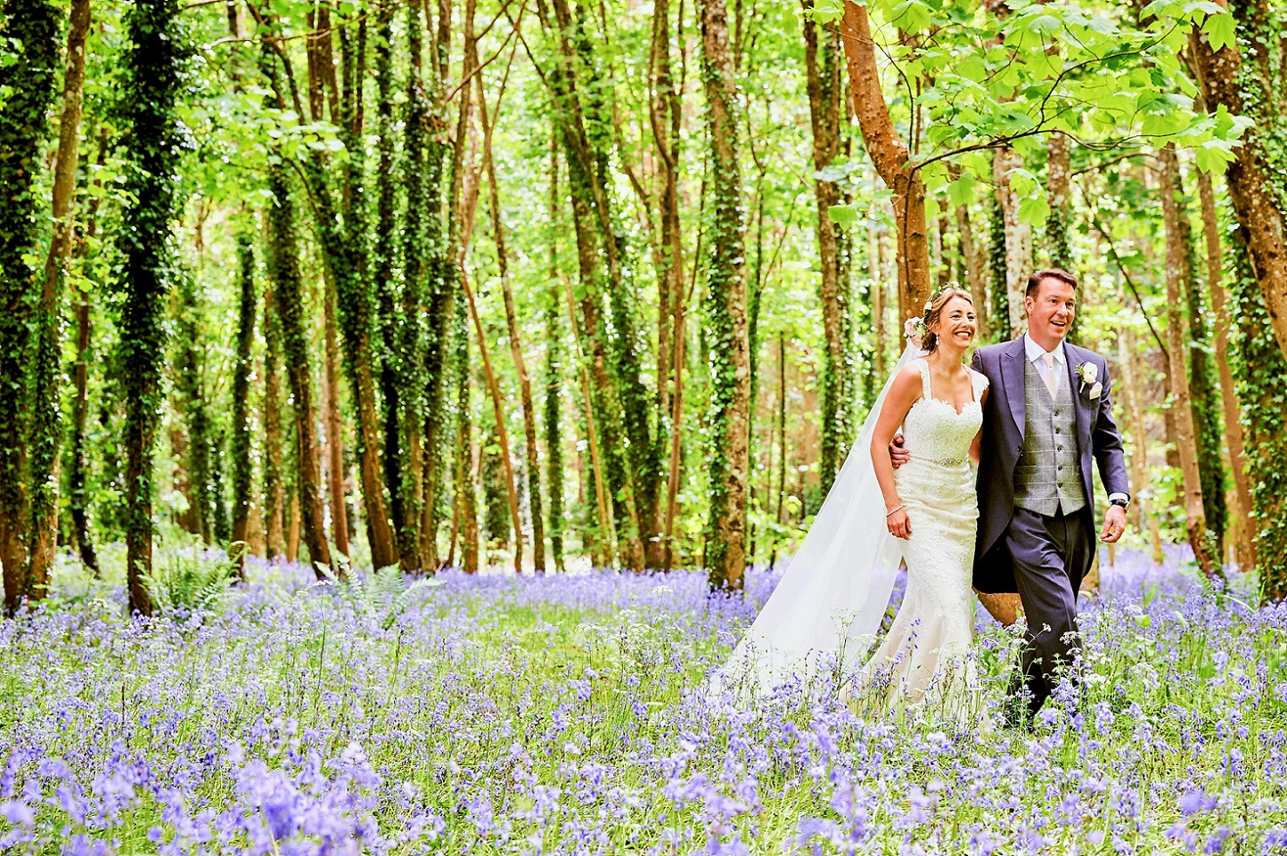 Hethfelton House bluebells