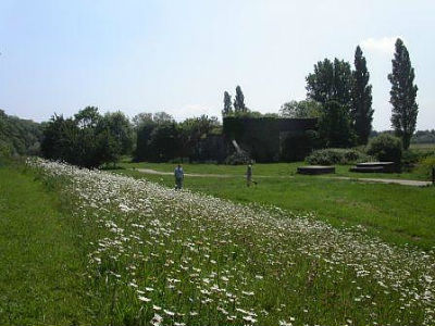 Langton_Meadows1