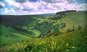 Littlecombe Fontmell Down