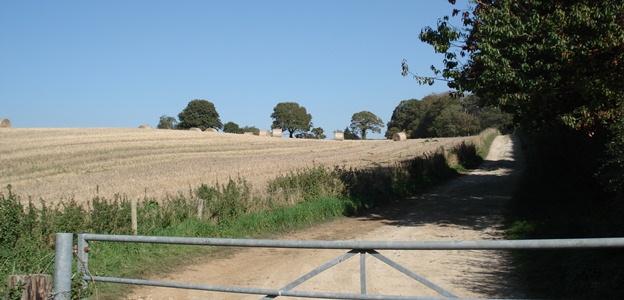 west-park-farm-lytchett-matravers