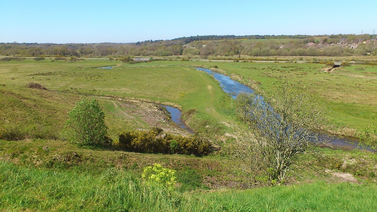 wareham-common-2015-04-22