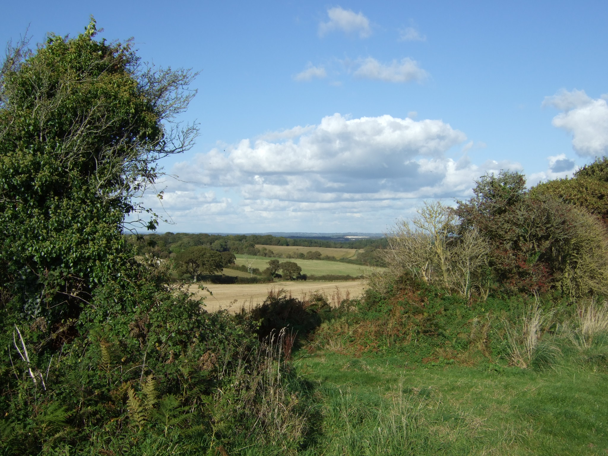 Views over Coombe Keynes from the Purbeck Way West non copyright