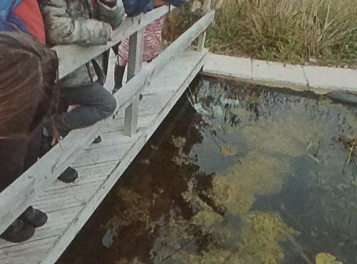 children around a pond