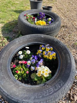 tyre with flowers in