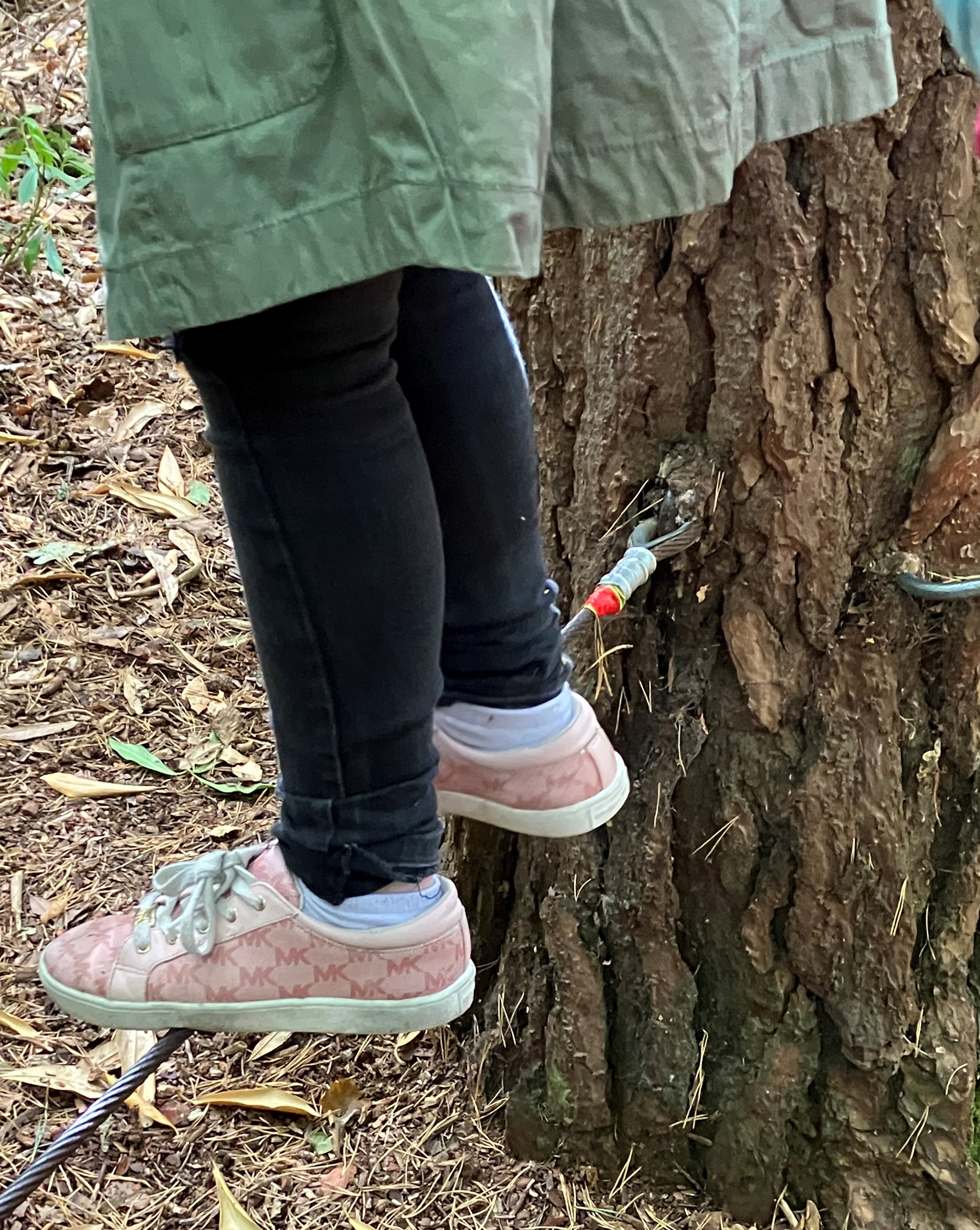 two feet balancing on a tightrope