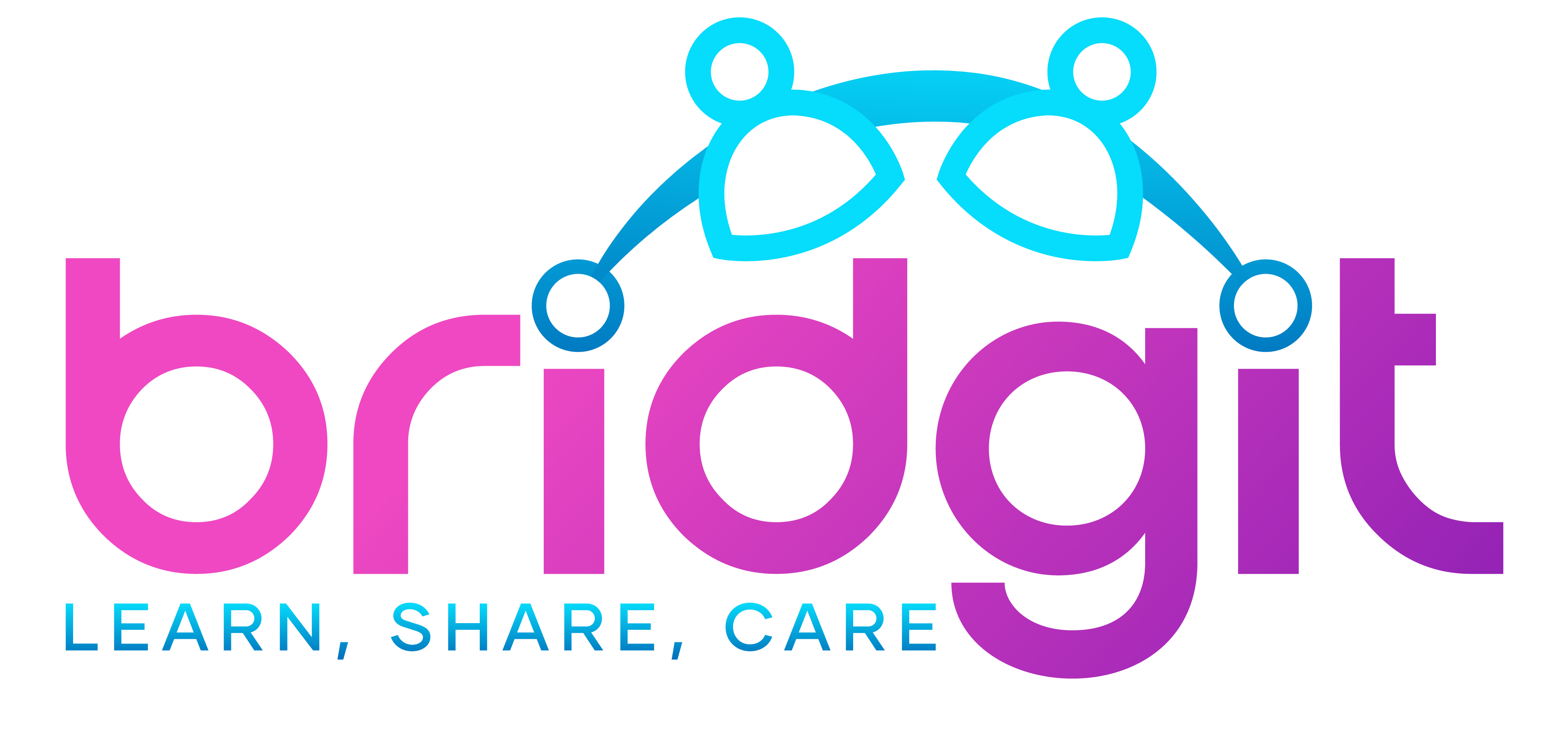 Bridgit logo