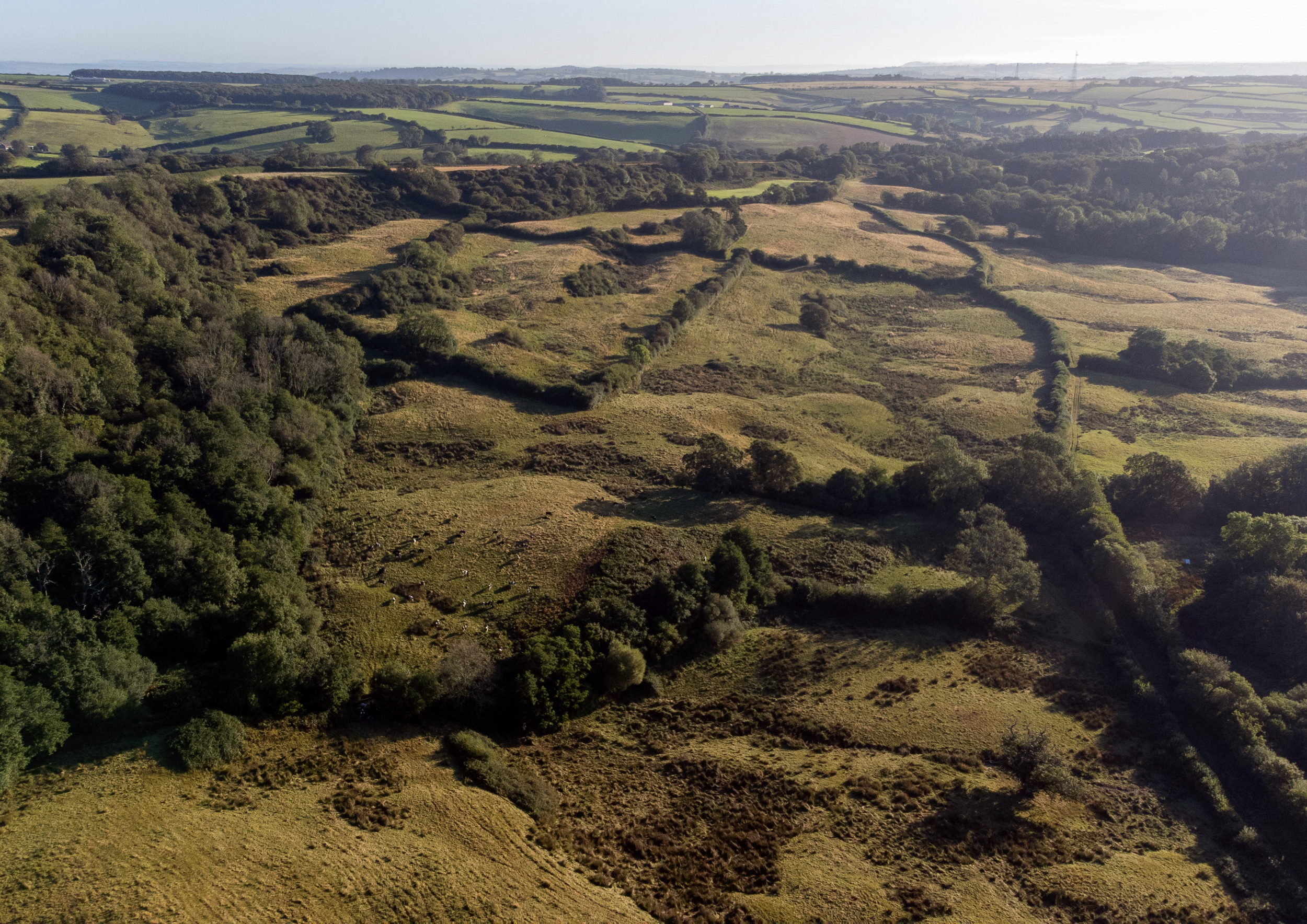 Brit catchment landscape