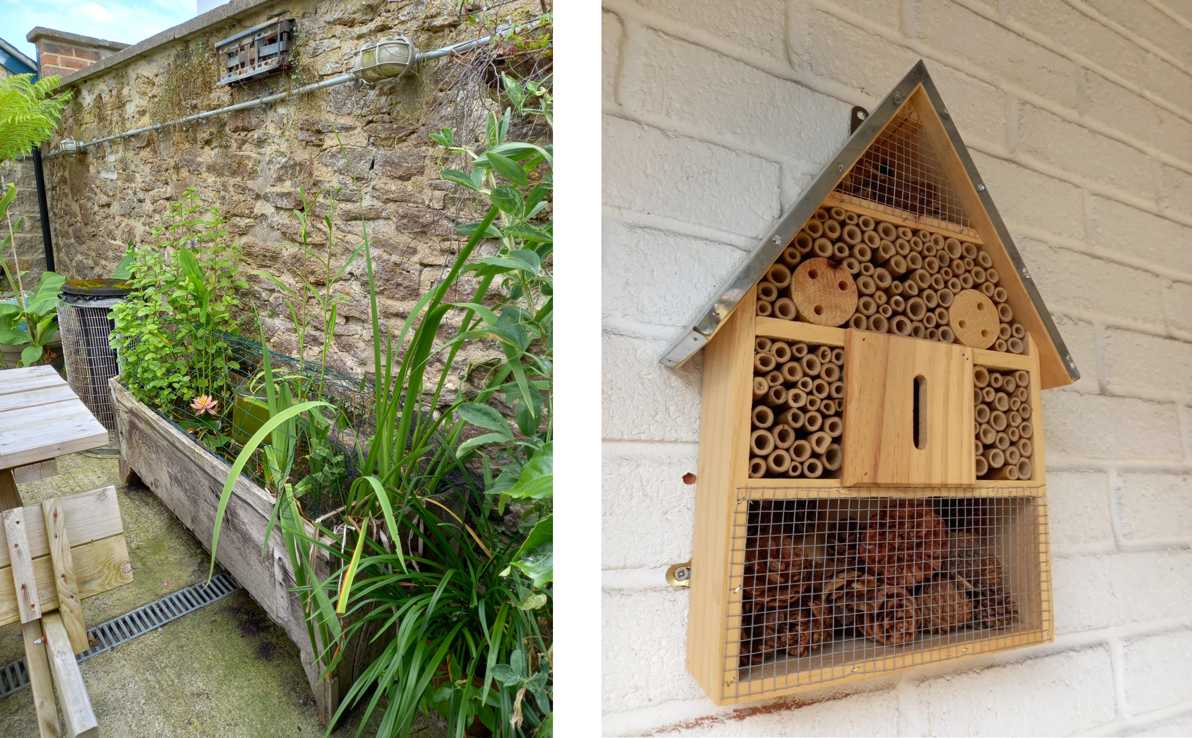 Nature recovery actions taken by Sustainable Business Award winners