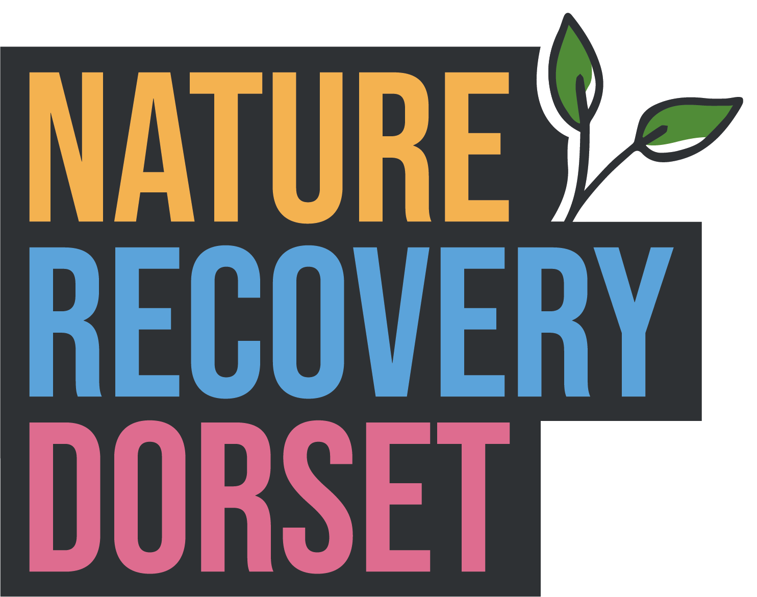 Nature Recovery Dorset logo