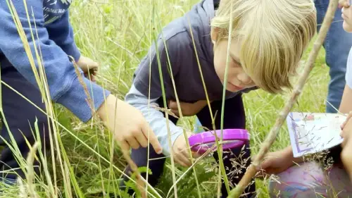 Children exploring nature with a magnifying glass in tall grass.