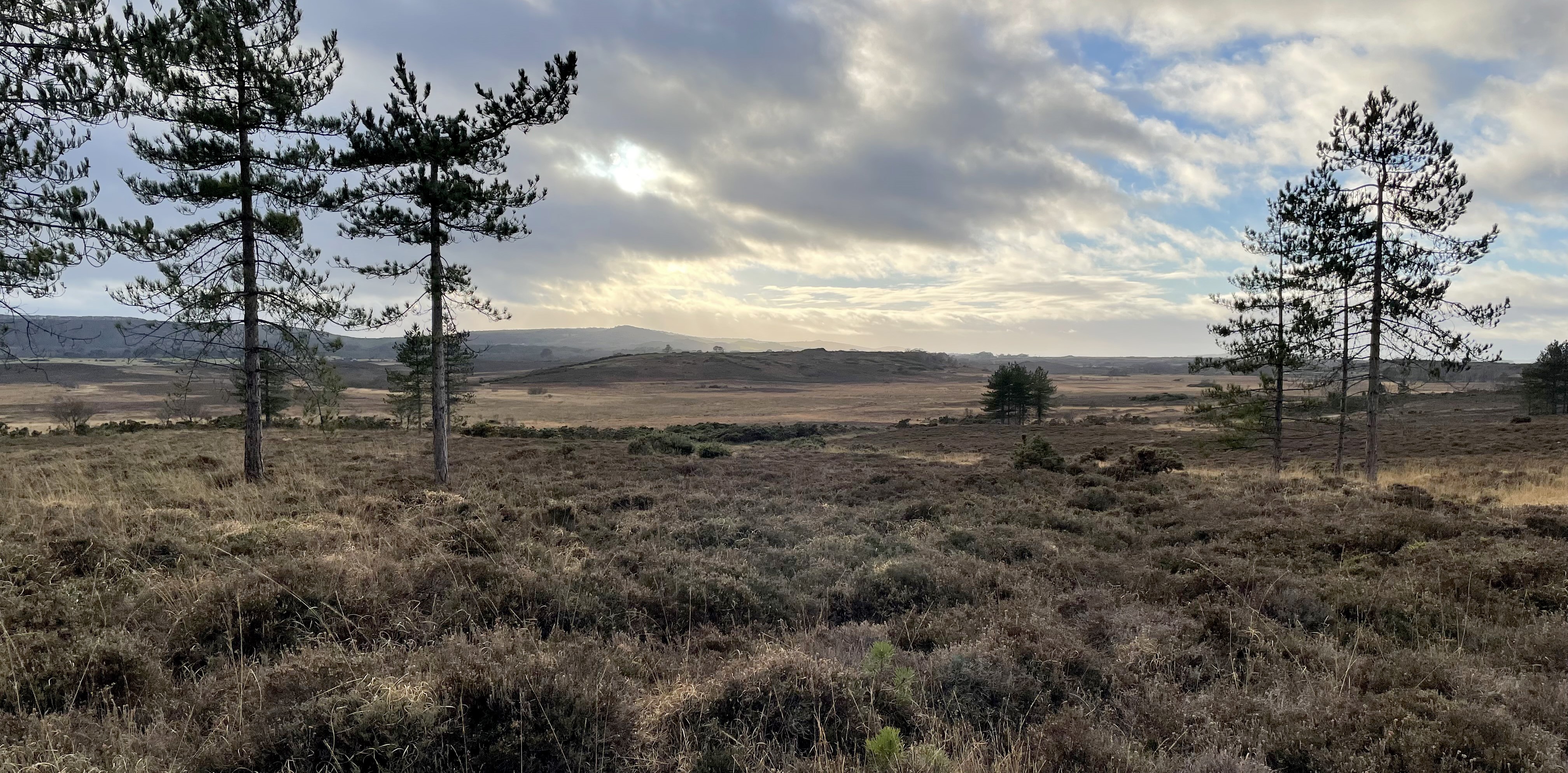 Slepe Heath
