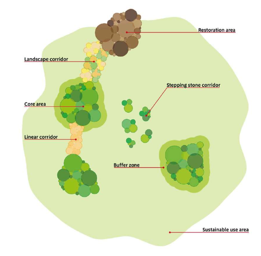 Infographic representing core areas, buffer zones, restoration area, stepping stones, sustainable use area and corridors in a landscape