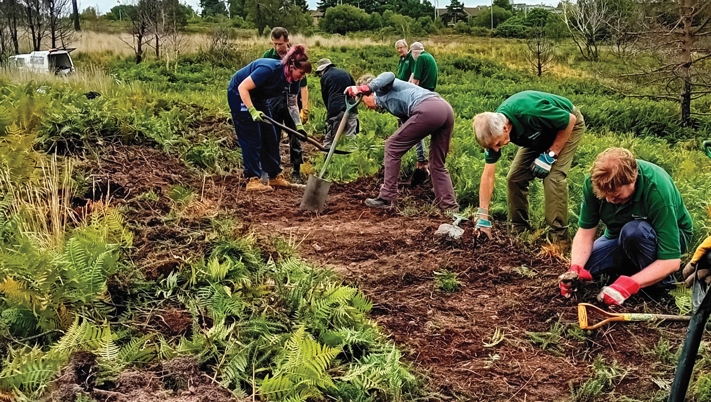 Volunteers on Canford Heath