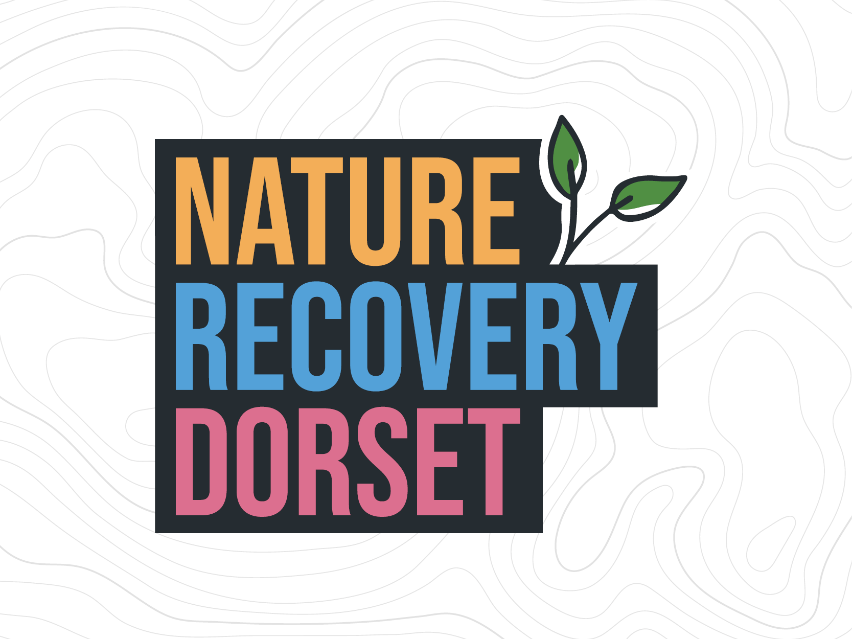 Nature Recovery Dorset logo