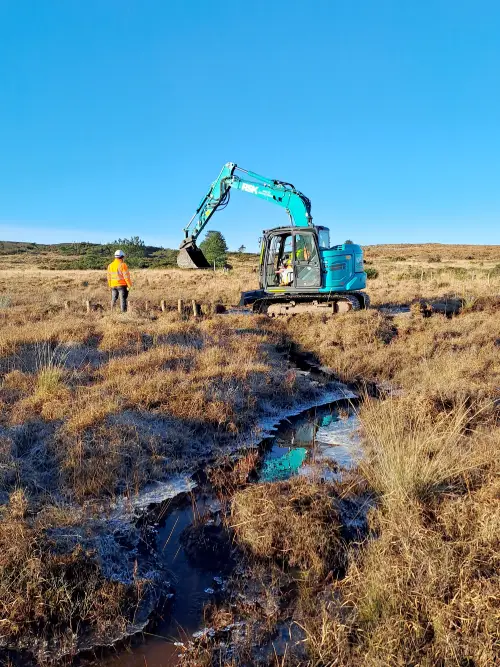 Wetland restoration at Greenlands Mire, Dorset