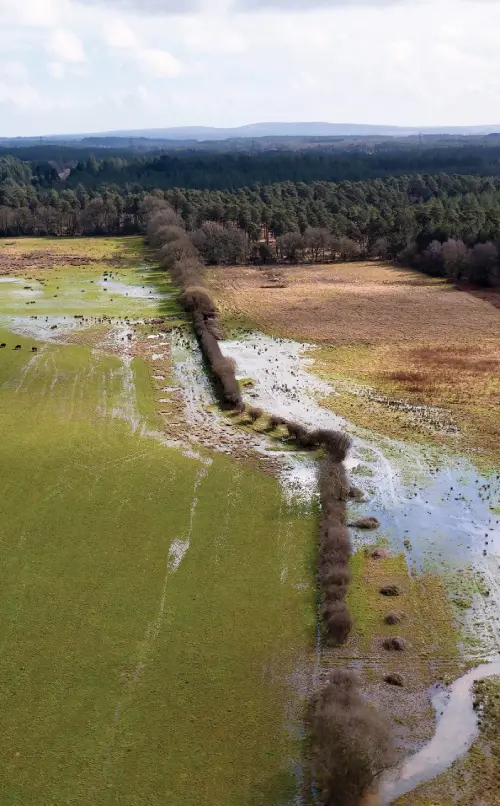 Wild Woodbury landscape